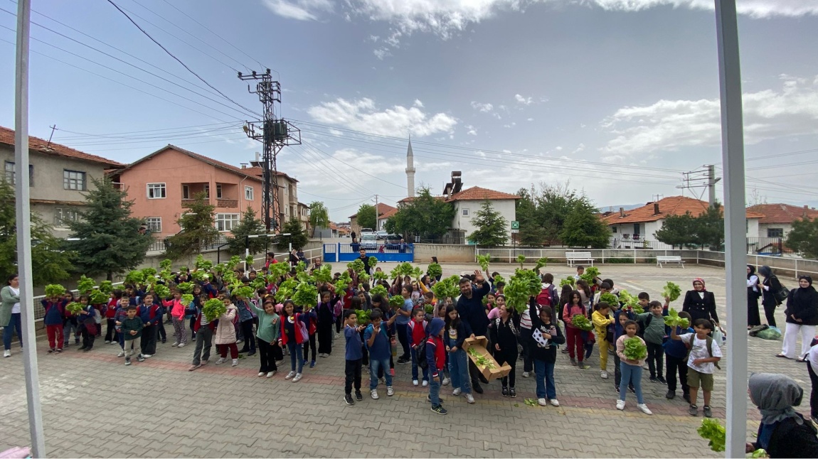 YERLİ TOHUM TARIM ATÖLYEMİZDE İLK HASAT SEVİNCİ
